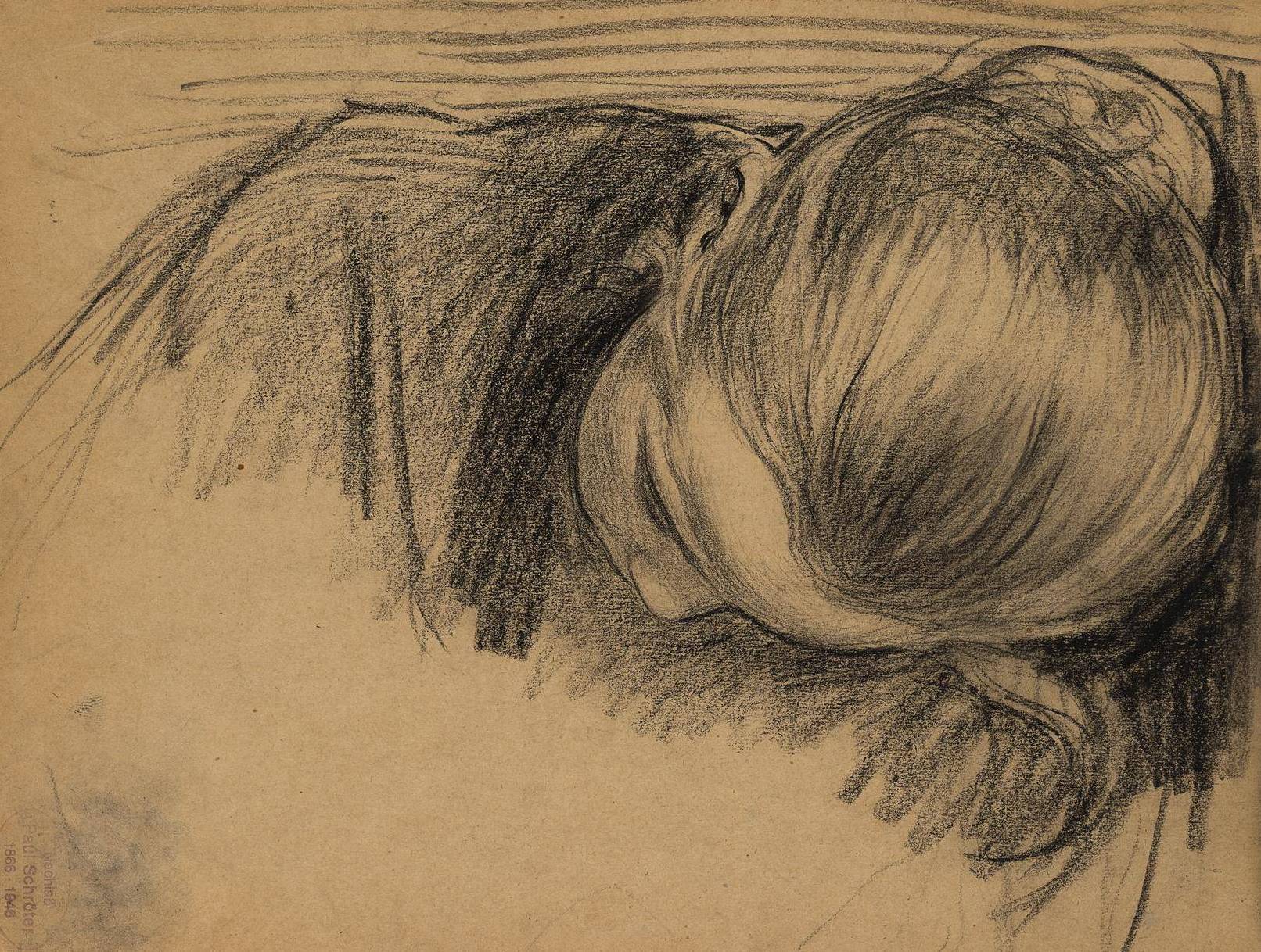 SCHROETER ETUDE DE JEUNE FILLE copie